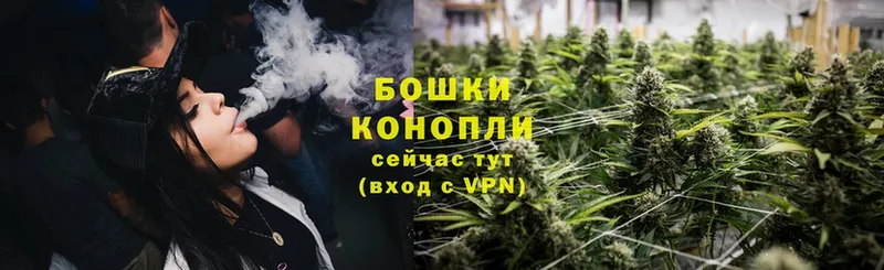 Бошки Шишки OG Kush  Ржев 